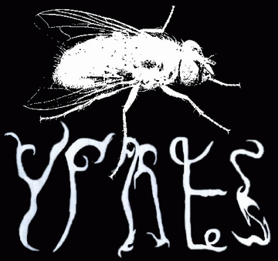 logo Ypres (USA)